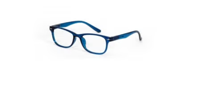 PROTEC VISION SALAMANDRA COLORS LUNETTES PRESBYTIE +02.50 BLUE