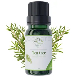 LOTUS BIO HUILE ESSENTIELLE TEA TREE 10ML