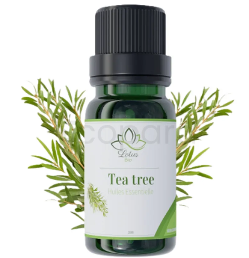 LOTUS BIO HUILE ESSENTIELLE TEA TREE 10ML