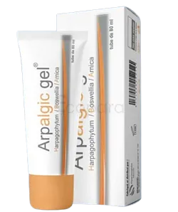 ARPALGIC GEL 80ML