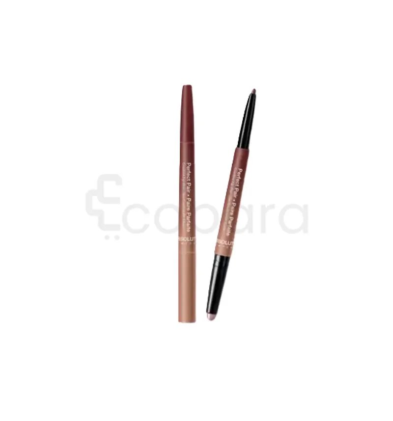 ABSOLUTE NEW YORK PERFECT PAIR DUO PARFAIT SUGAR & SPICE REFERENCE ALD01